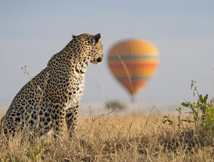 Masai Mara Tour Packages