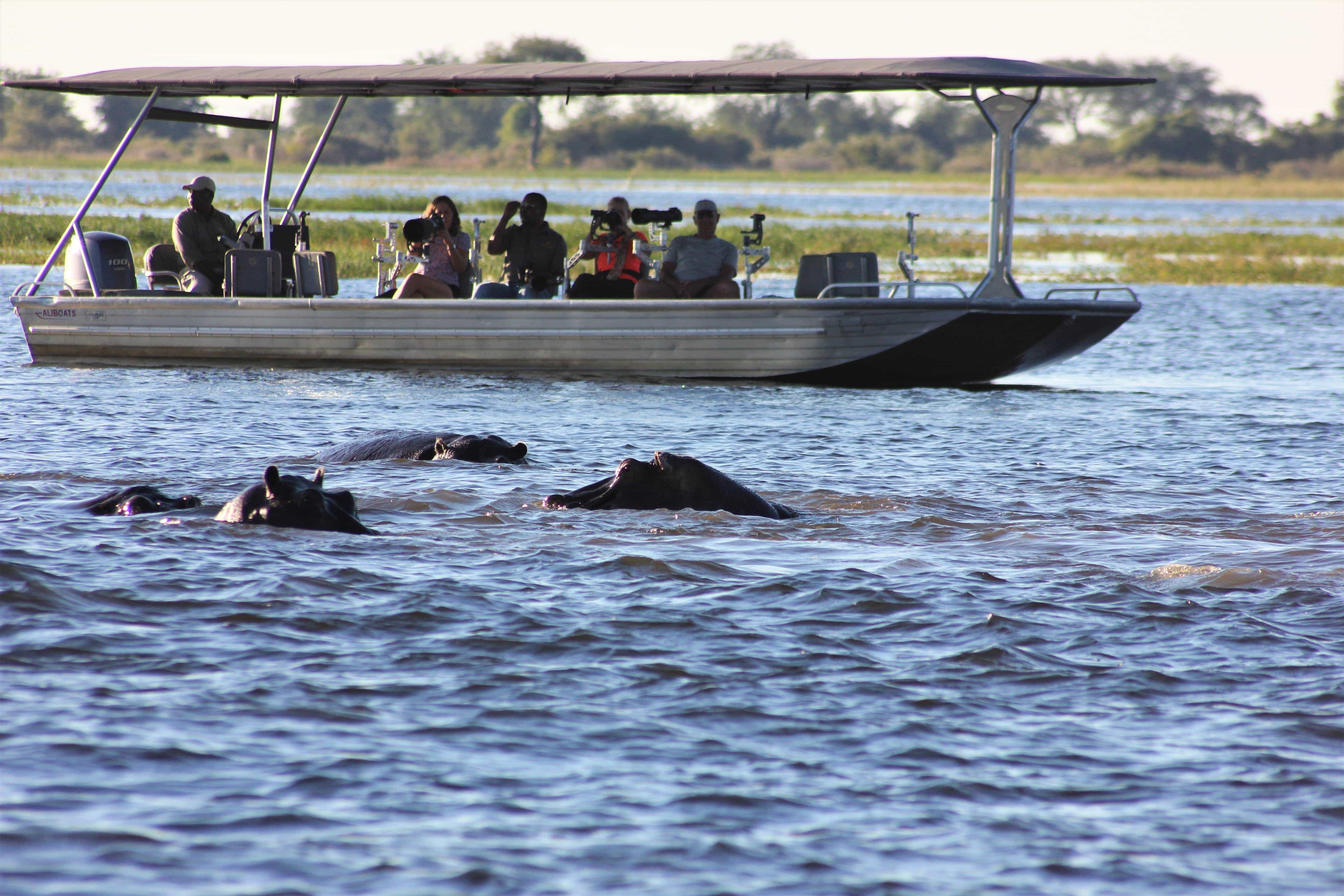 Birdwatching Safari In Kenya