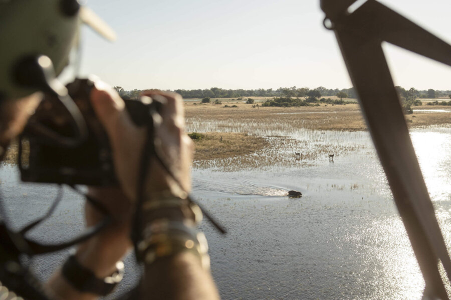 Botswana Helicopter Safaris