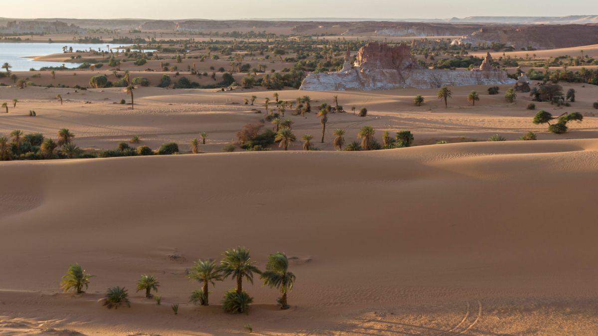 Chad Helicopter Tours