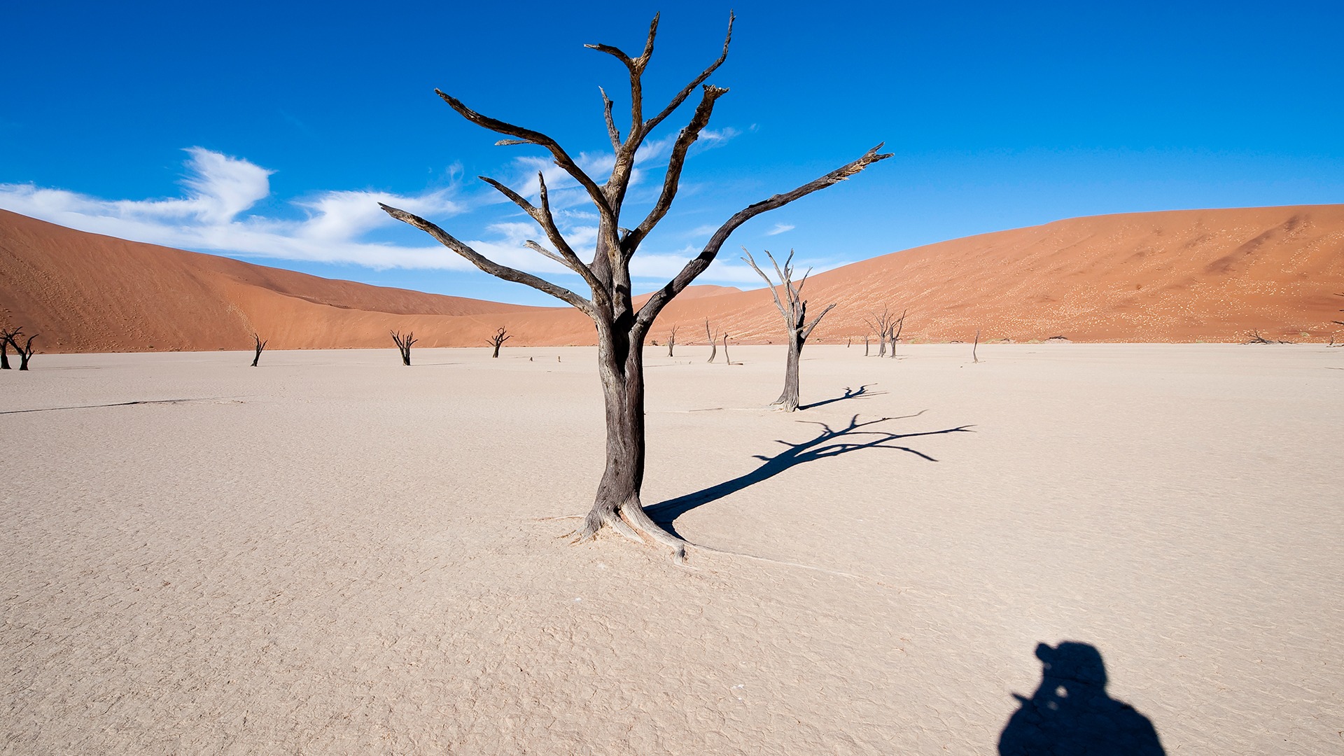 Namibia Helicopter Safaris