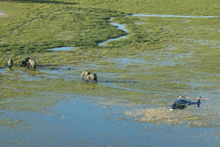 Okavango Delta Safari By Air
