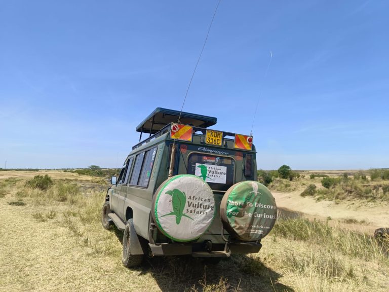 Zanzibar to Masai Mara Safari