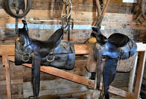 Best Horse Riding Safaris In Masai Mara