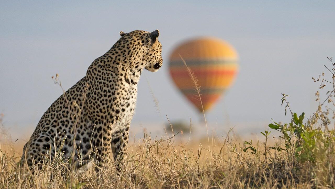 Masai Mara Balloon Safaris