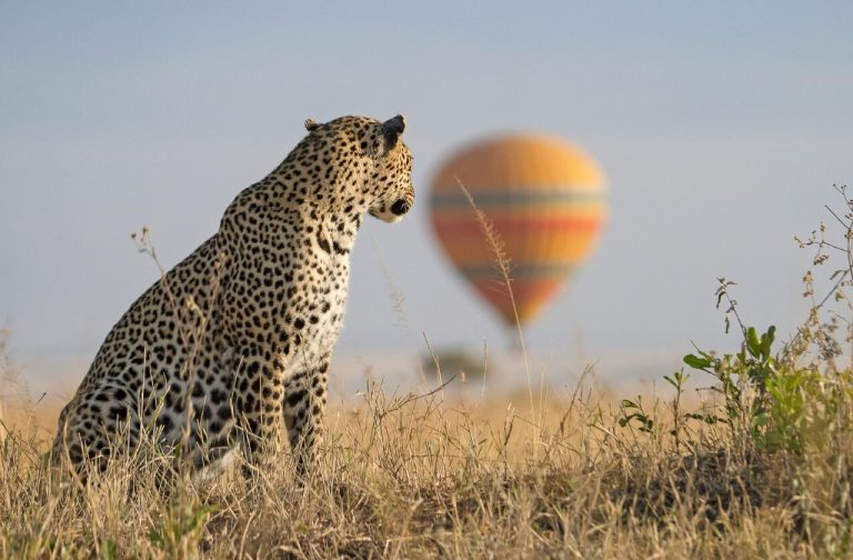 Masai Mara Balloon Safaris
