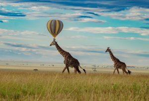 Serengeti Hot Air Balloon Flight