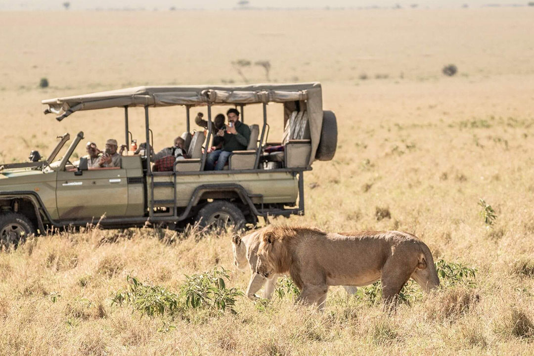 African Safari Booking Tips