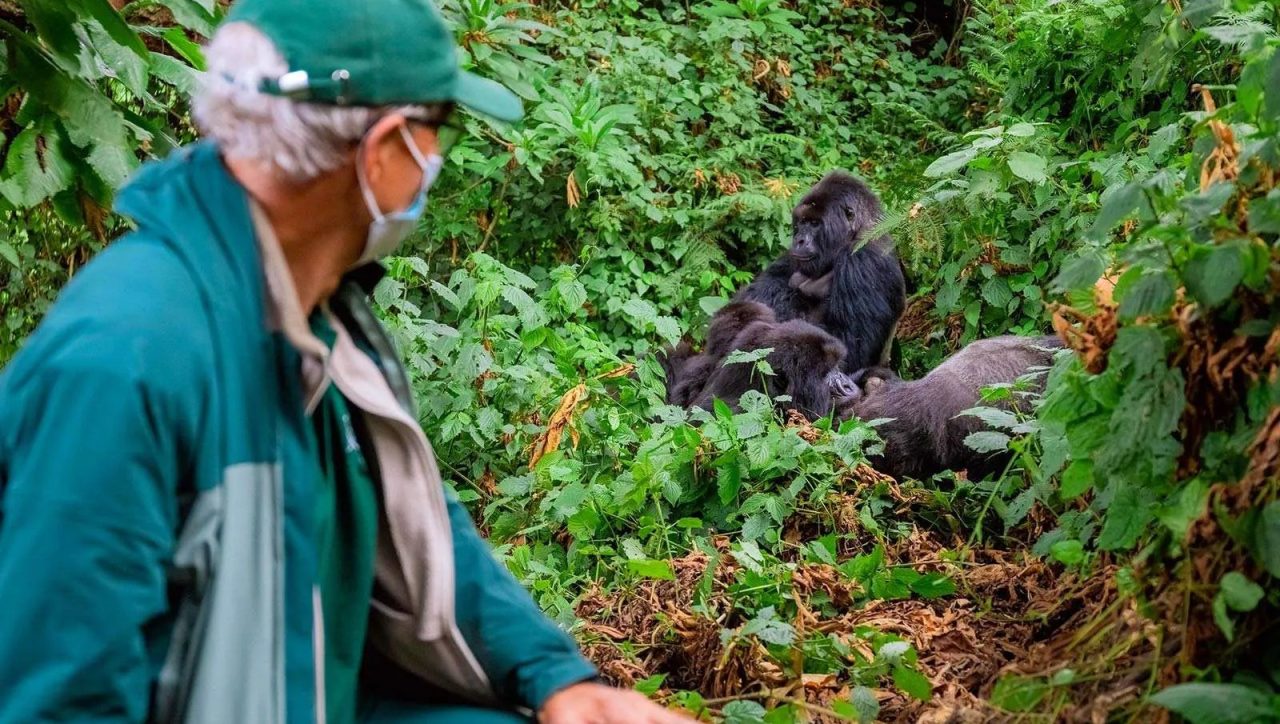 Gorilla Trekking in Rwanda