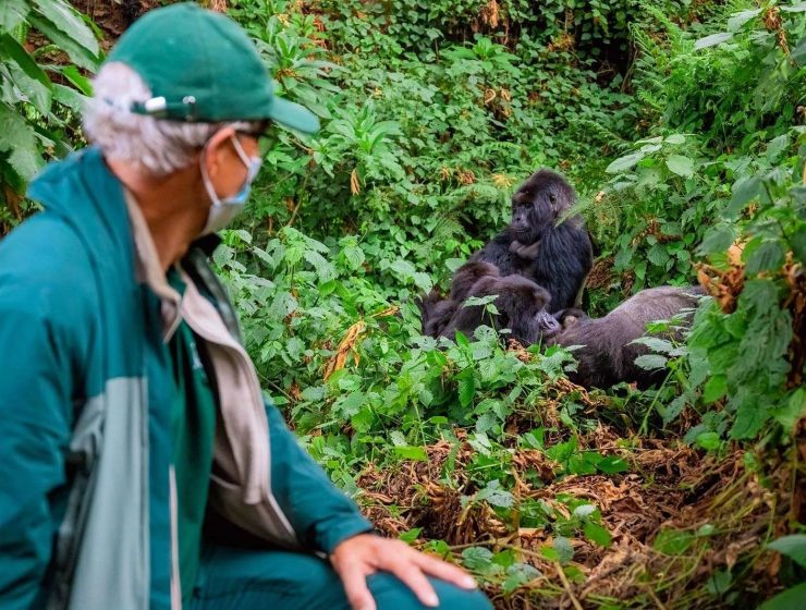 Gorilla Trekking in Rwanda
