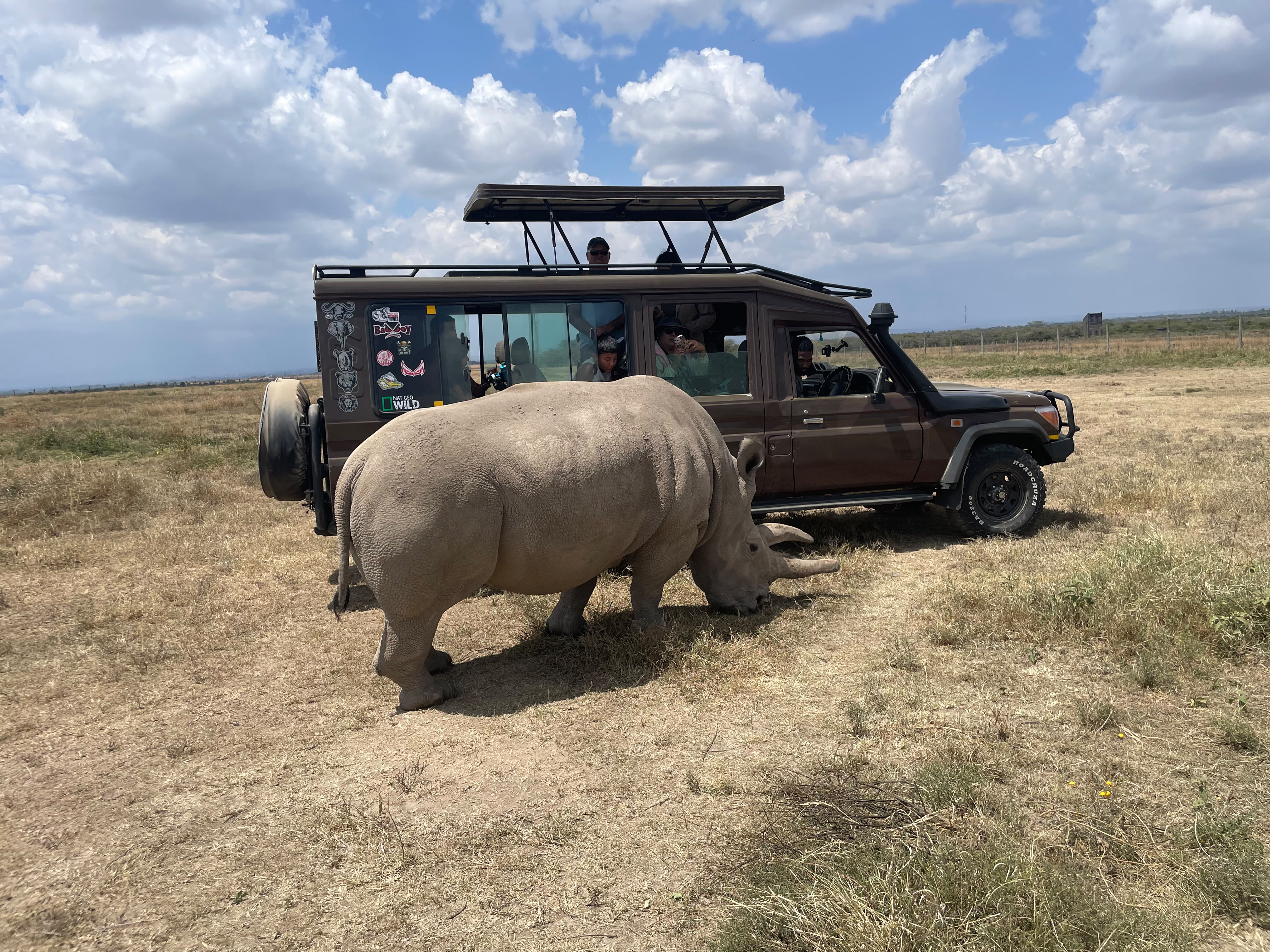 Ol Pejeta Safari Trips