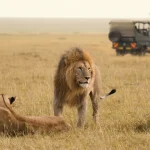 best tanzania safari trips