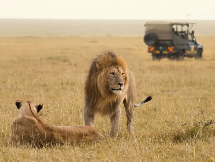 best tanzania safari trips