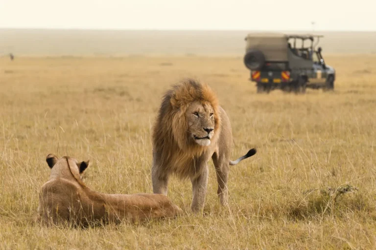 best tanzania safari trips