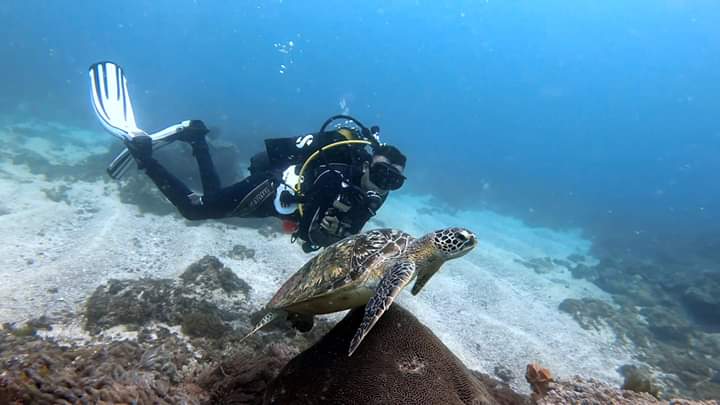 Scuba Diving Diani Whale Shark Kenya